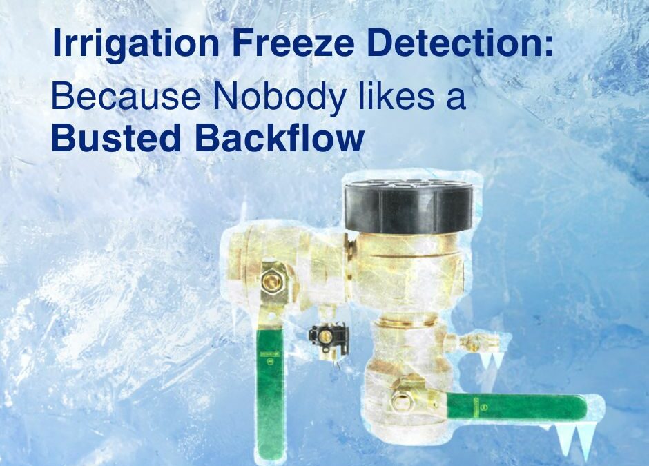 Watts Irrigation Freeze Detection