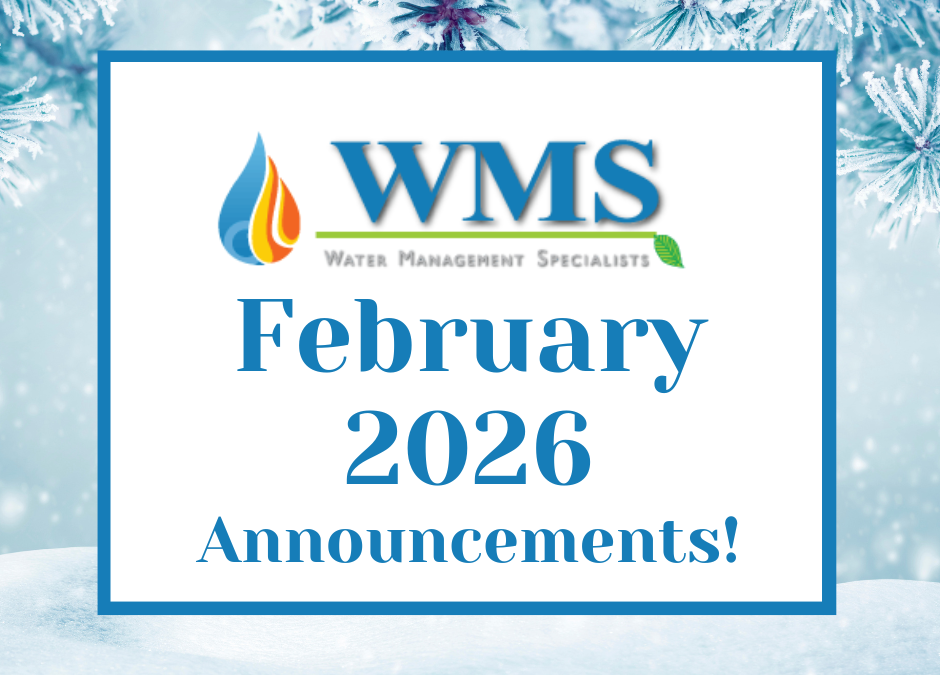 WMS Announcements: 02/2026